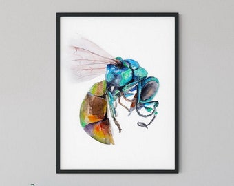 wasps Japanese Print Reproductions: Frogs snail dragonflies: Fine Art Print