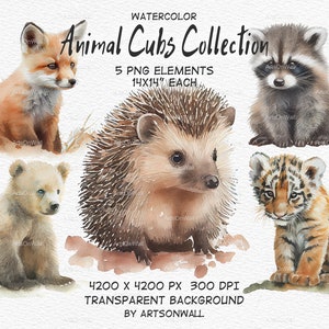 Clipart d'oursons, art pour chambre d'enfant, illustration aquarelle, hérisson, ours, raton laveur, tigre, renard roux, bébés animaux, scrapbooking, PNG