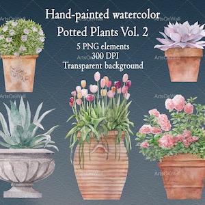 Potted Plants Clipart, House Plants, Hand painted Watercolor, Flower Pot, Transparent Background, Bushes, Instant Download, PNG