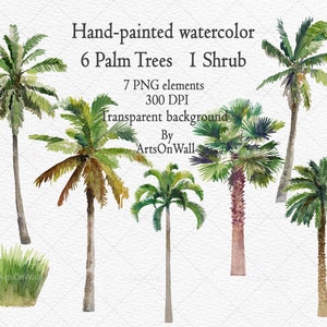 Imágenes prediseñadas de palmeras, acuarela pintada a mano, fondo transparente, imágenes prediseñadas de cocoteros, arbustos, elevaciones de árboles, descarga instantánea, PNG