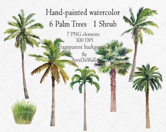 Palm Trees Clipart, Hand painted Watercolor, Transparent Background, Coconut Trees Clipart, Shrub, Tree elevations, Instant Download, PNG