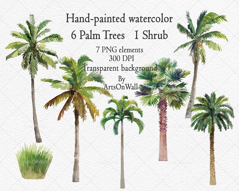 May include: Hand-painted watercolor illustration of six palm trees and one shrub. The trees are green and brown with a white background. The image is 300 DPI and has a transparent background.