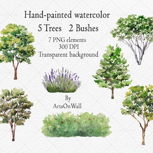 Tree Clipart, Hand painted Watercolor, Transparent Background, Bushes, Tree elevations, Instant Download, PNG