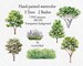 Tree Clipart, Hand painted Watercolor, Transparent Background, Bushes, Tree elevations, Instant Download, PNG 