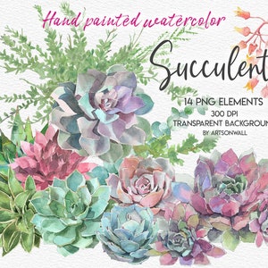 Aquarell Sukkulenten Clipart, handbemalt, Blumen Illustration, Blumenkunst Aquarell, bunte Pflanzen, Journal Bilder, PNG