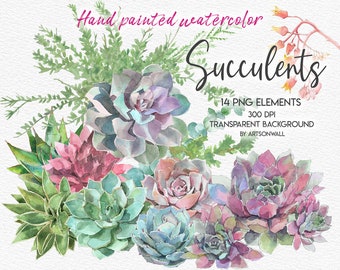 Watercolor Succulents Clipart, Hand-painted, Floral Illustration, Flower art watercolor, Colorful plants, Journal images, PNG