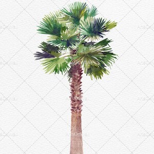 May include: Watercolor painting of a palm tree with a brown trunk and green leaves against a white background.