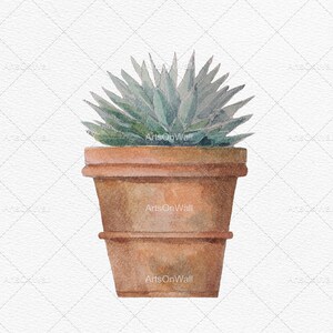 Puede incluir: Una pintura de acuarela de una planta suculenta en una maceta de terracota. La planta tiene hojas largas y espinosas y es de color verde claro. La maceta es de color marr&oacute;n claro y tiene una superficie ligeramente texturizada.