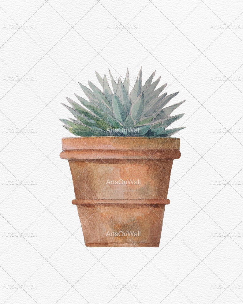 Puede incluir: Una pintura de acuarela de una planta suculenta en una maceta de terracota. La planta tiene hojas largas y espinosas y es de color verde claro. La maceta es de color marr&oacute;n claro y tiene una superficie ligeramente texturizada.