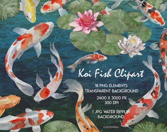 Koi Fish Clipart, Hand painted Watercolor, Fancy Carp, Lotus, Pond, Feng Shui, Waterlily, Water Garden, Scrapbooking,  PNG