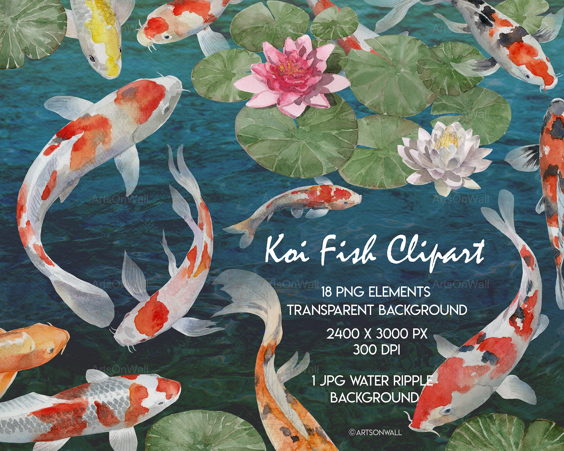 Koi Fish Clipart Hand Painted Watercolor Fancy Carp Lotus - Etsy Sweden