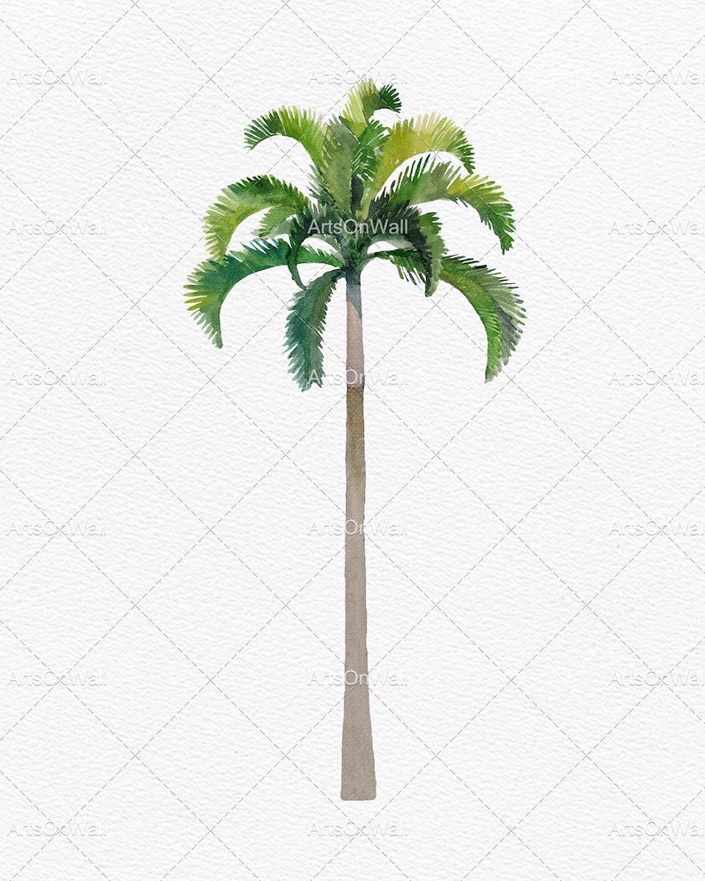 May include: A watercolor painting of a green palm tree with a brown trunk against a white background.