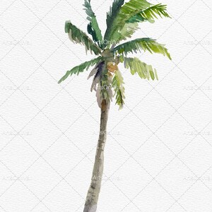 May include: Watercolor painting of a palm tree with green leaves and a brown trunk against a white background.