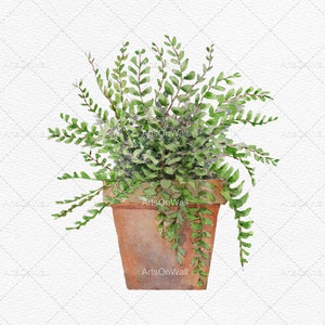 Puede incluir: Una pintura de acuarela de una planta de helecho verde en maceta con una maceta de terracota marr&oacute;n. La planta tiene hojas verdes exuberantes y se coloca sobre un fondo blanco.