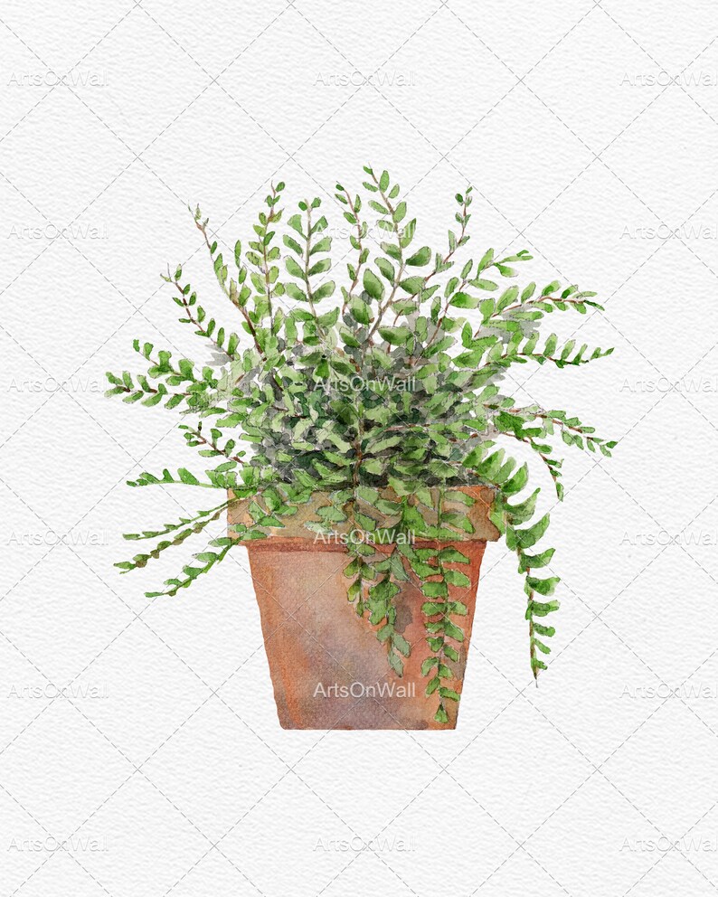 Puede incluir: Una pintura de acuarela de una planta de helecho verde en maceta con una maceta de terracota marr&oacute;n. La planta tiene hojas verdes exuberantes y se coloca sobre un fondo blanco.