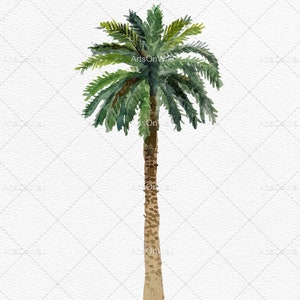 May include: A watercolor painting of a palm tree with a brown trunk and green leaves against a white background.