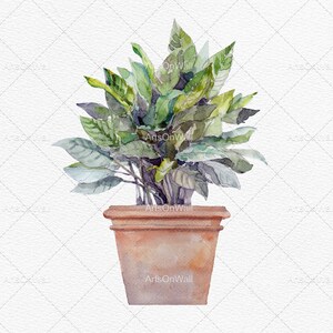 Puede incluir: Una pintura de acuarela de una planta en maceta con hojas verdes en una maceta de terracota.