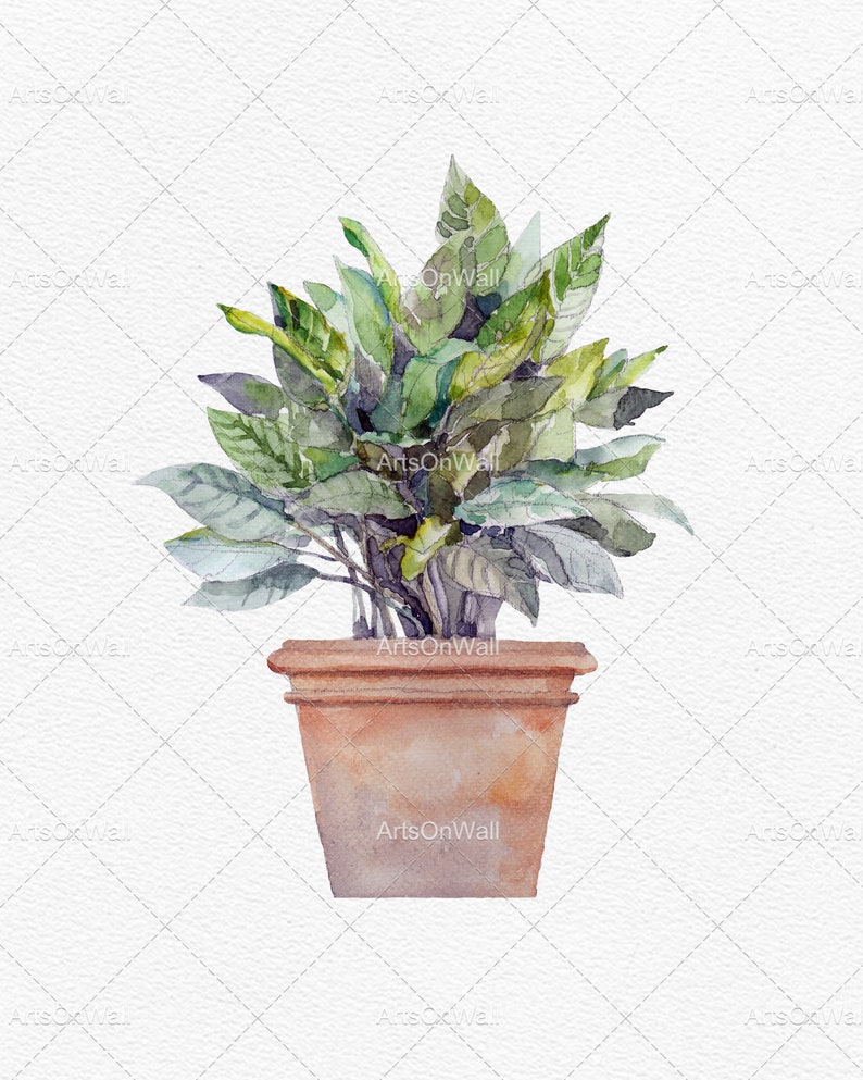 Puede incluir: Una pintura de acuarela de una planta en maceta con hojas verdes en una maceta de terracota.