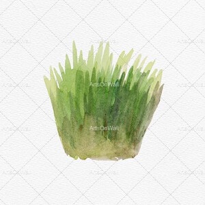 May include: A watercolor painting of a cluster of green grass. The grass is painted in shades of green, with some lighter green highlights. The grass is painted on a white background.
