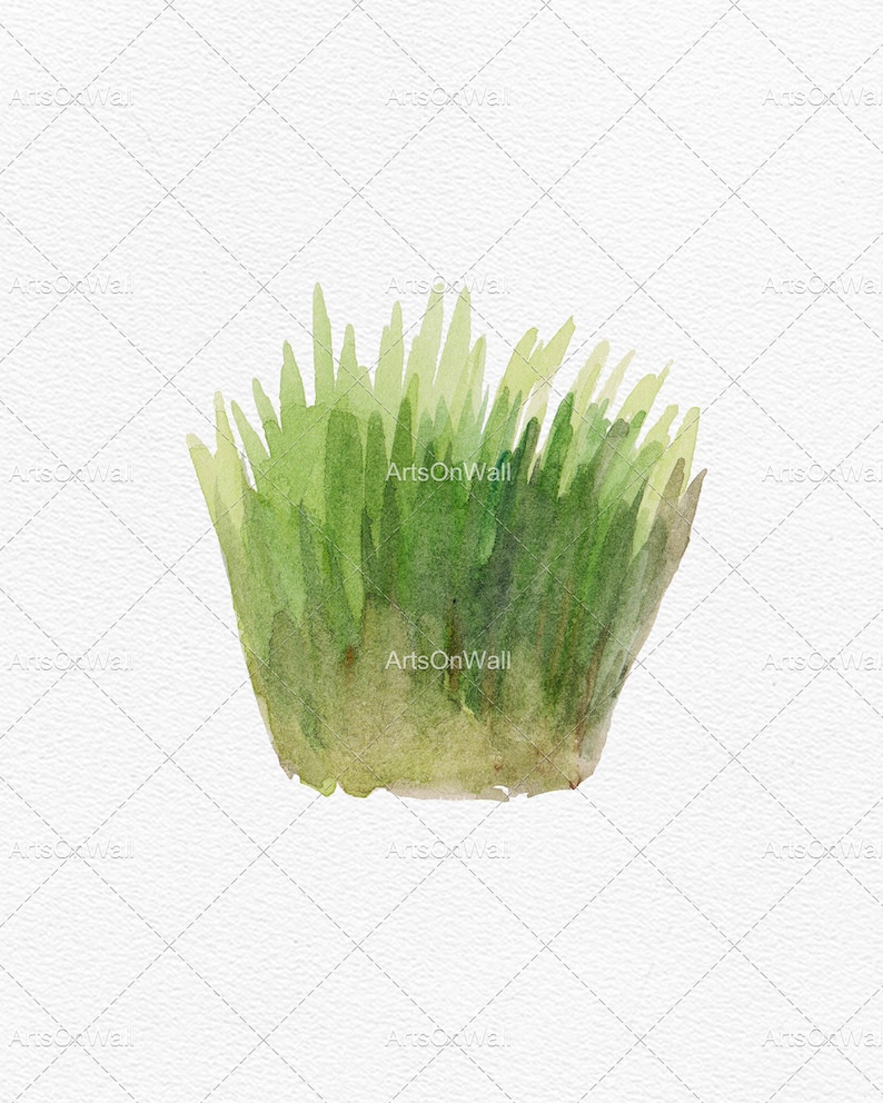 May include: A watercolor painting of a cluster of green grass. The grass is painted in shades of green, with some lighter green highlights. The grass is painted on a white background.