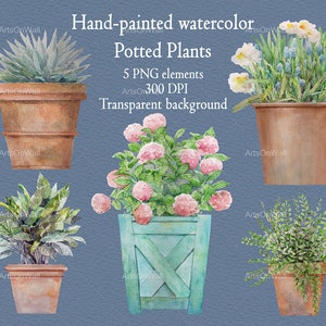 Puede incluir: Cinco ilustraciones de acuarela de plantas en maceta con fondo transparente. Las plantas incluyen una suculenta, una hortensia, una planta de hoja, un helecho y un ramo de narcisos y flores azules.