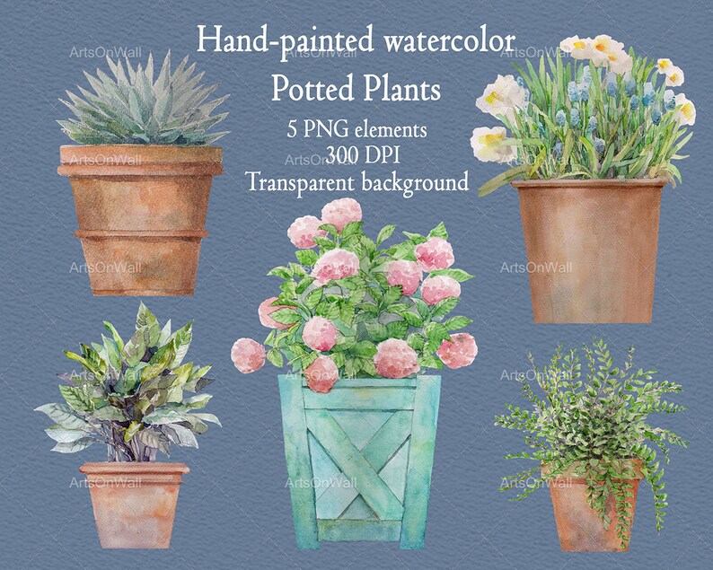 Puede incluir: Cinco ilustraciones de acuarela de plantas en maceta con fondo transparente. Las plantas incluyen una suculenta, una hortensia, una planta de hoja, un helecho y un ramo de narcisos y flores azules.