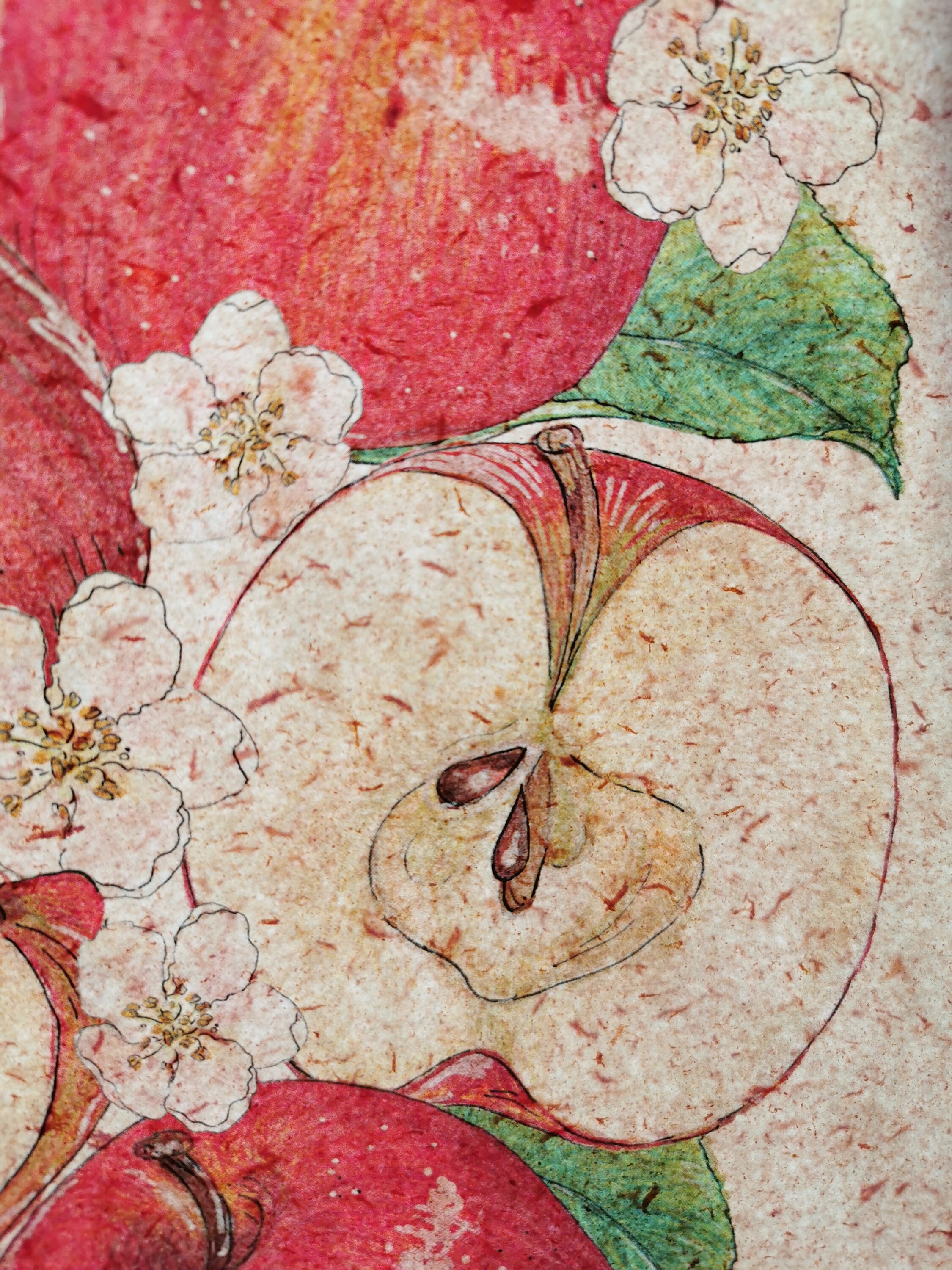 Print A4 Apples Aesthetic Print Illustration Apple Apple Etsy