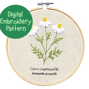 May include: A digital embroidery pattern of corn chamomile flowers. The design features white petals with yellow centers and green stems and leaves, all within a wooden embroidery hoop. The text "Digital Embroidery Pattern" is in a green circle.