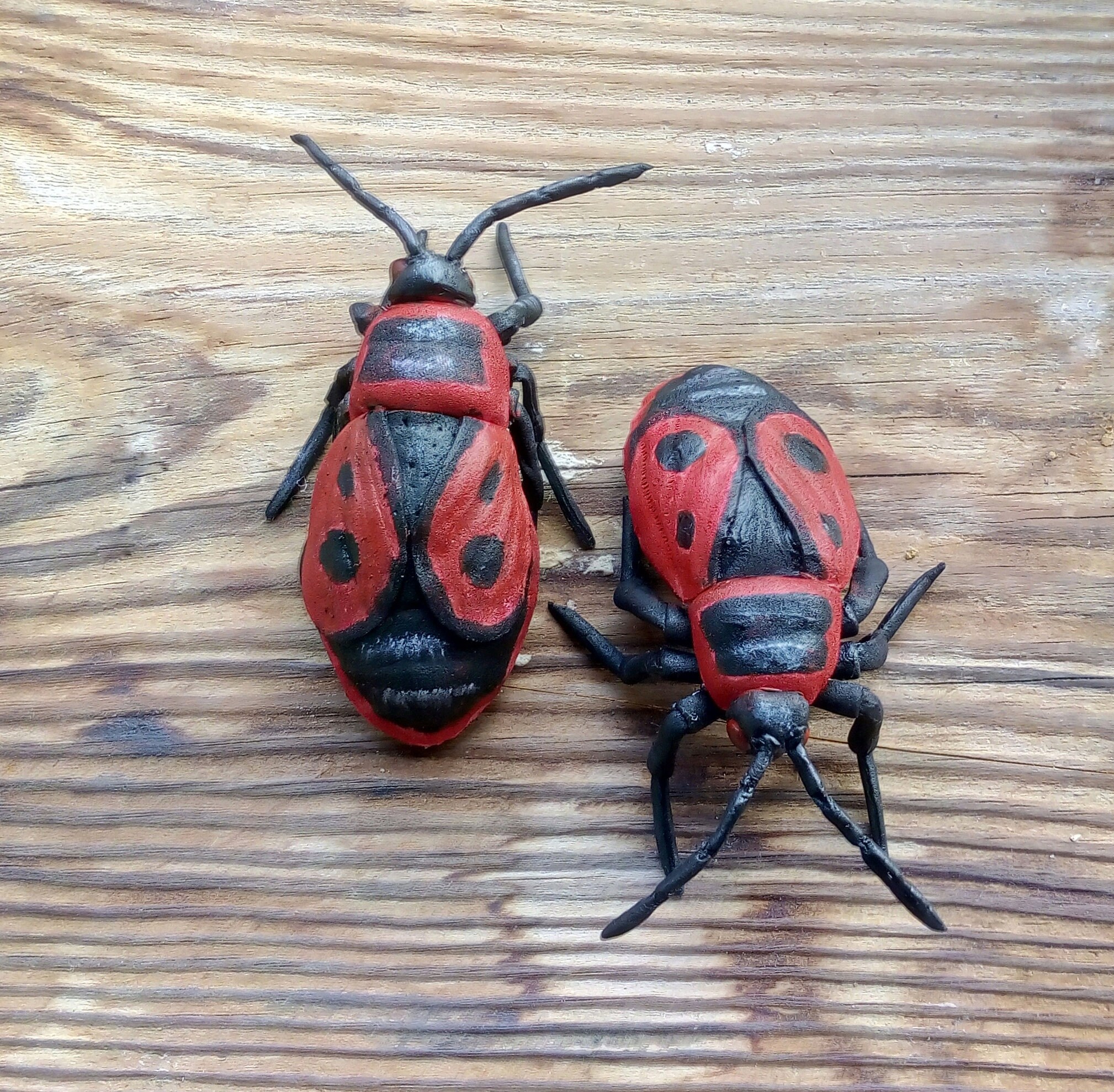 Fake red realistic bug/Gift lover insects/ Set of 2 Etsy