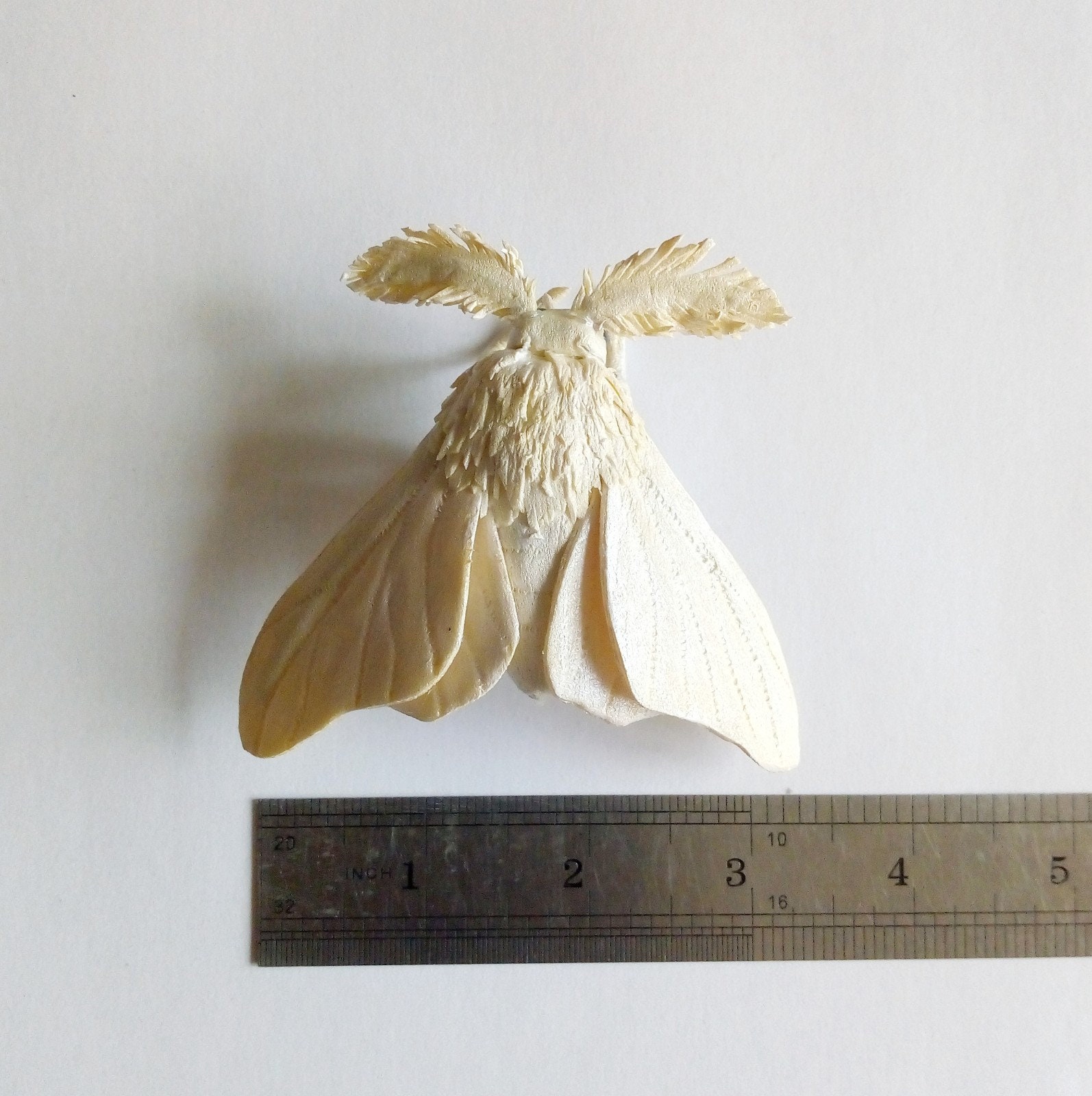 Fake realistic white moth sculpture/Moth decor/Moth lover Etsy