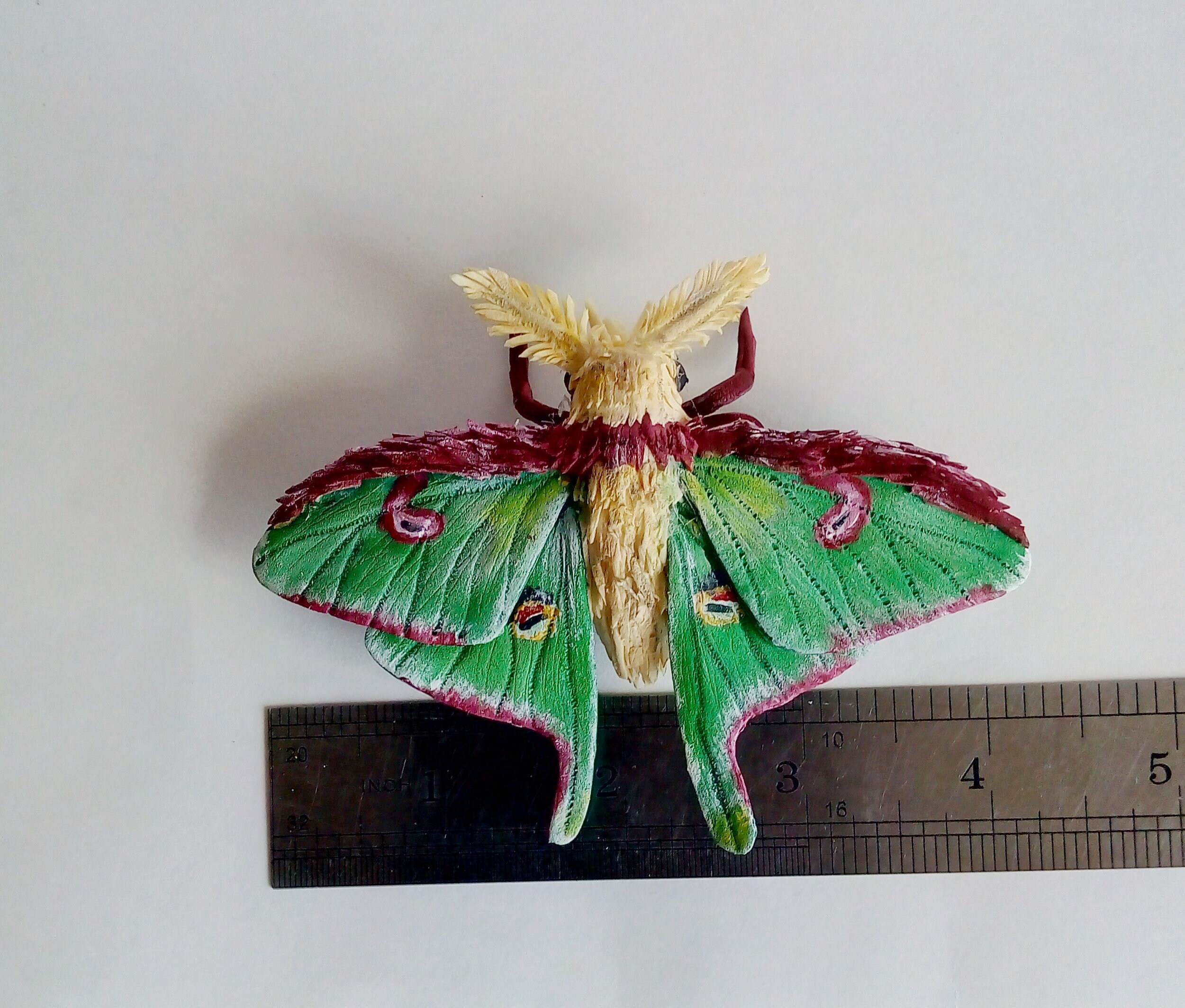 Fake green luna moth sculpture/Moth decor/Moth lover gift/ Set Etsy