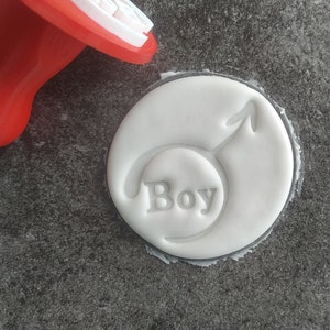 May include: A white fondant cookie with a male gender symbol and the word "Boy" imprinted on it. A red and white cookie cutter is lying next to the cookie.