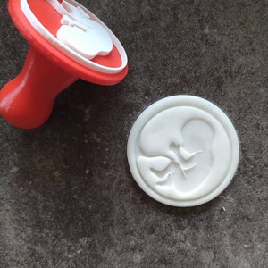 May include: A red and white plastic cookie cutter in the shape of a fetus. The cutter is shown next to a white imprint of the cutter in a dough-like substance.