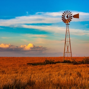 May include: A rustic windmill stands tall in a field of golden wheat under a vibrant blue sky with scattered clouds. The windmill's blades and structure are weathered, adding to the rural landscape's charm.