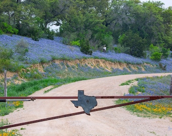 Texas Bluebonnet Driveway Photo Print: Hill Country Landscape