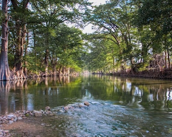 May include: A tranquil river scene with lush green trees lining the banks. The water is calm and reflective, creating a serene atmosphere.