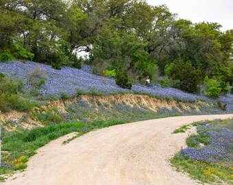 Texas Driveway Perfection