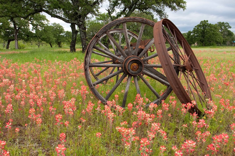 Paint Your Wagon Etsy