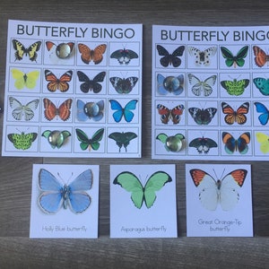 Butterfly Bingo Game
