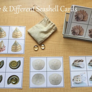Puede incluir: Un juego de seis cartas de conchas marinas para un juego de coincidencia de igual y diferente. Cada carta tiene cuatro cuadrados con diferentes conchas marinas. Las cartas están sobre una mesa de madera con una pequeña bolsa y dos cuentas de vidrio.
