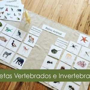 Vertebrados e Invertebrados/Fichas Españolas de Vertebrados e Invertebrados (Montessori)