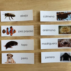 Zwierzęta i ich domy Hiszpański/Animales y Sus Casas (The Noun/El Sustantivo)