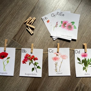 Blumen Alphabet Karten Spanisch (Druck)