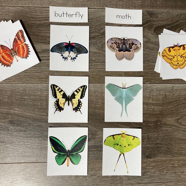 Butterfly & Moth Sorting Activity (English) with Posters