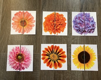 Flower Symmetry Puzzles
