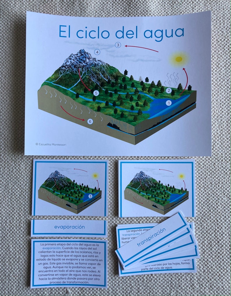Water Cycle in Spanish Etsy