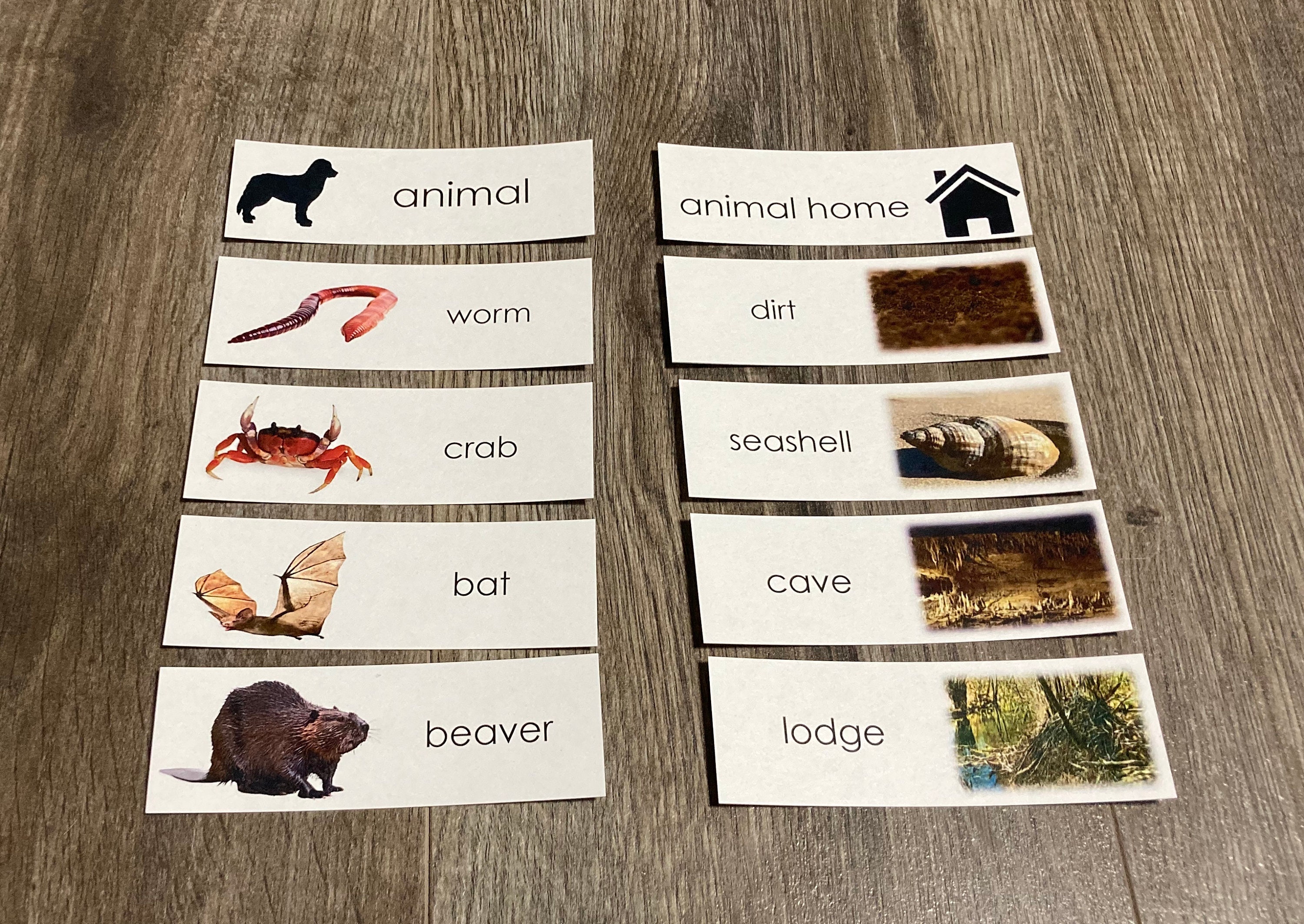 Animals and Their Homes in English the Noun - Etsy UK Animals and Their Homes in English the Noun - Etsy UK