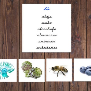 May include: A set of four flashcards with images and Spanish words starting with the letter "A". The words are abeja (bee), acebo (holly), alcachofa (artichoke), almendras (almonds), anémona (anemone), and arándanos (blueberries).
