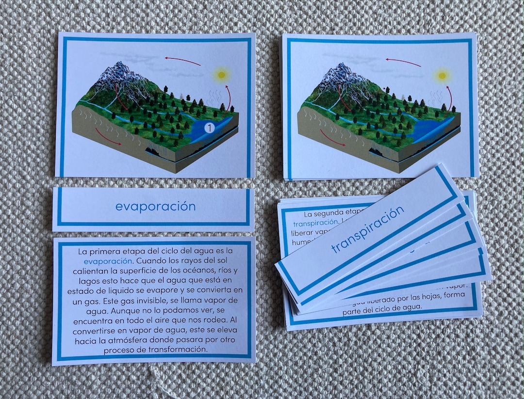 Water Cycle in Spanish Etsy