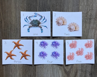 Sea Life Counting Cards (English)